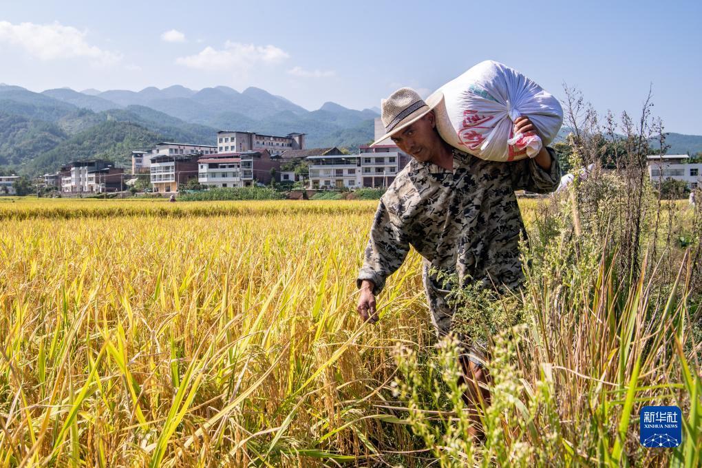 玛丽水果机下载